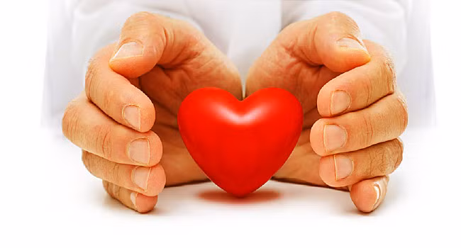 Giảm nguy cơ mắc bệnh tim: Uống trà trắng hàng ngày sẽ cải thiện mức cholesterol vì nó chứa polyphenol ngăn ngừa cholesterol xấu bị oxy hóa. Nó cũng giúp hoạt động trơn tru của các mạch máu và ngăn chặn sự tắc nghẽn của các động mạch.