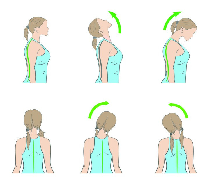 Vận động cổ: Bài tập này có 2 động tác và bạn luôn phải giữ thẳng lưng khi tập. Thứ nhất, bạn cúi đầu để cằm chạm ngực và giữ trong vòng 15 giây. Sau đó, nâng cằm lên trở lại và ngửa đầu về phía sau trong vòng 15 giây. Thứ hai, nghiêng đầu lần lượt sang trái rồi sang phải và giữ nguyên ở mỗi bên trong vòng 30 giây. Thực hiện 2 động tác này khoảng 10 lần để ngăn tình trạng căng cơ và đau ở cổ gáy.