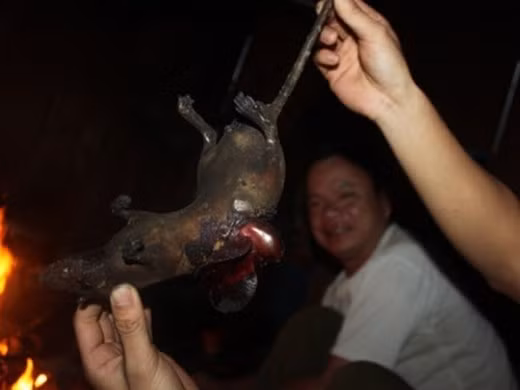 Thui chuột thêm lần nữa cho ra mỡ, sau đó đưa vào một nồi đất để đồ xôi, và người dân tộc Thái gọi đó là "xôi chuột". Món xôi này cũng giống như xôi chim, tuy có phần lạ nhưng rất ngon và không đem lại cảm giác ngấy. 