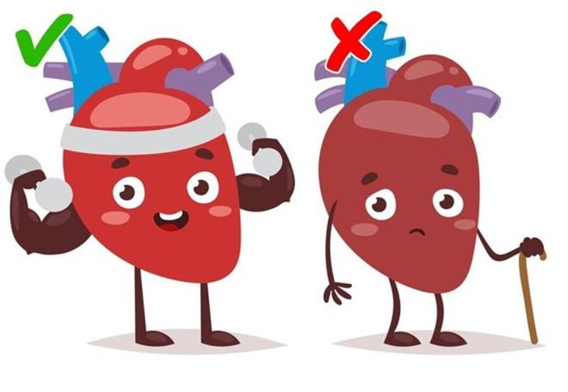 Làm chậm nhịp tim: Uống nước đá có thể khiến nhịp tim của bạn giảm xuống. Điều này là do tĩnh mạch thần kinh ở phía sau cổ và hệ thống thần kinh tim bị ảnh hưởng bởi nhiệt độ lạnh giảm đột ngột. Ảnh: Brightside.