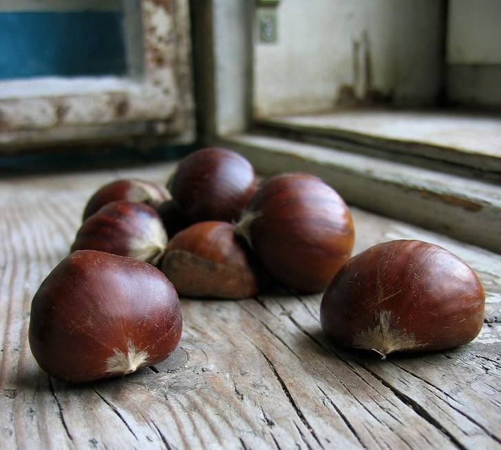 Đặt hạt dẻ xung quanh nhà: Một trong những loại thuốc chống côn trùng đáng ngạc nhiên nhất là hạt dẻ. Hãy đặt hạt dẻ gần cửa ra vào, cửa sổ, tủ quần áo và những nơi khác sẽ đảm bảo rằng những con nhện không xâm nhập vào những nơi này.