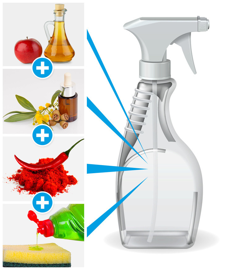 Tự làm thuốc xịt chống nhện tự nhiên: Bạn có thể làm cho thuốc chống côn trùng tự nhiên của riêng bạn. Cách làm: trộn giấm táo , dầu, hạt tiêu và xà phòng lỏng trong một bình xịt. Xịt dung dịch này mỗi ngày trong nhà của bạn. Ngoài ra, hãy nhớ phun nó dọc theo cửa sổ, bệ cửa sổ và cửa ra vào để côn trùng tránh xa. Đừng quên xịt sau khi trời mưa.