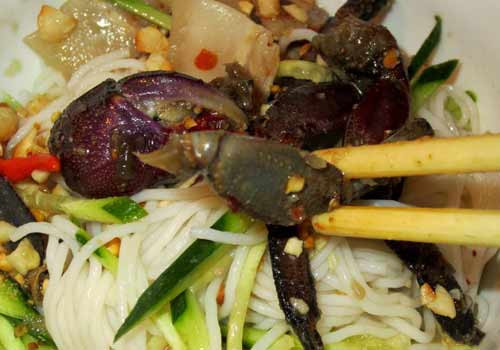 Bún ba khía chỉ gồm có phần nguyên liệu chính là bún tươi và ba khía hấp nước dừa, ăn kèm cùng nước mắm chua ngọt. Ba khía vốn dĩ không nhiều thịt, lại ăn kèm cùng mắm nên nếu bạn thuộc "team xôi thịt" thì có lẽ phải ăn vài bát mới đủ no.