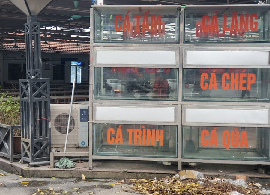 Chị L. (nhân viên nhà hàng trên đường Trần Thái Tông) cho biết, vẫn chưa biết đến thời điểm nào nhà hàng mới chính thức mở cửa trở lại vì vẫn lo ngại dịch virus Corona.