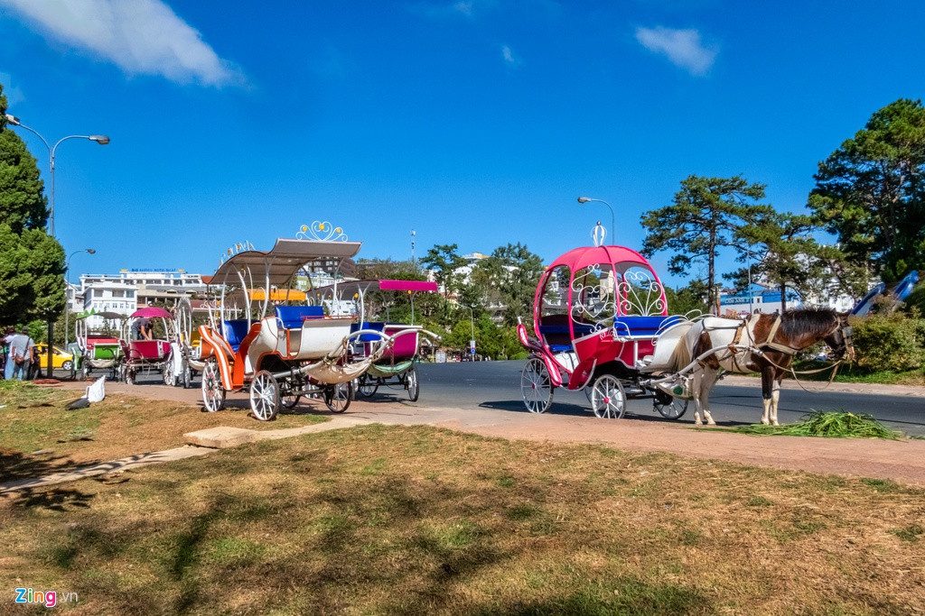 Bến xe ngựa chở khách du lịch không có cơ hội hoạt động. Hàng dài xe ngựa nằm đợi khách, có chủ xe còn tân trang sửa chữa xe ngay tại bến vì vắng khách.