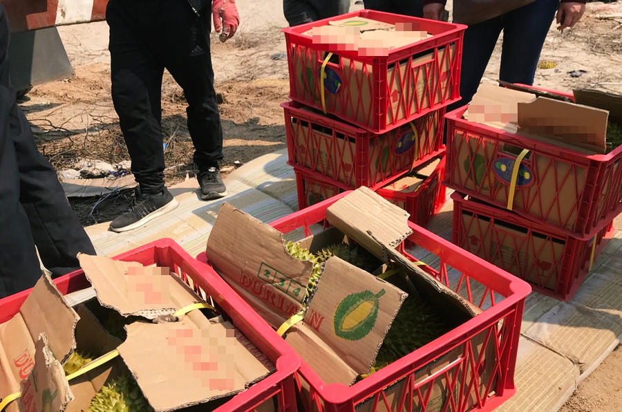 Sầu riêng được bán với giá 450 nghìn đồng/8kg.