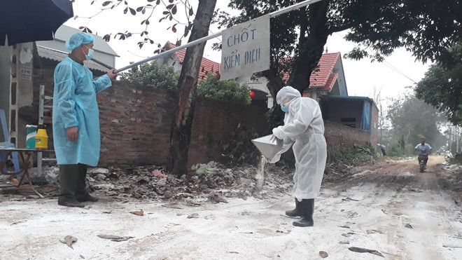 Mang bu ga ra via he cat tiet mo tuoi, o dich ngay truoc cua nha-Hinh-2