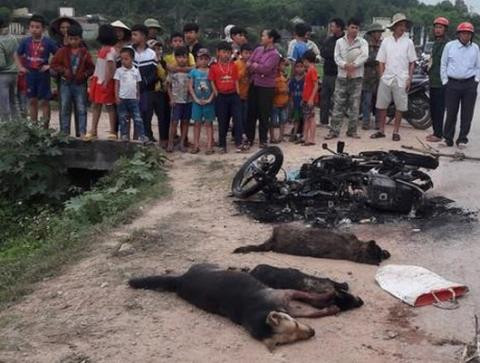 Hiện trường vụ đánh chết thanh niên nghi trộm chó ở xã Mã Thành, Yên Thành, Nghệ An (Ảnh báo Nghệ An).