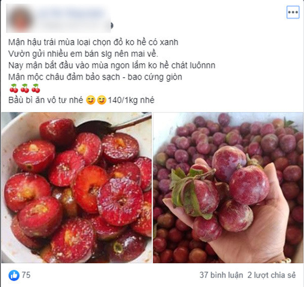 Loan gia man Moc Chau trai mua, tieu thuong nhet tui vai trieu/ngay-Hinh-2