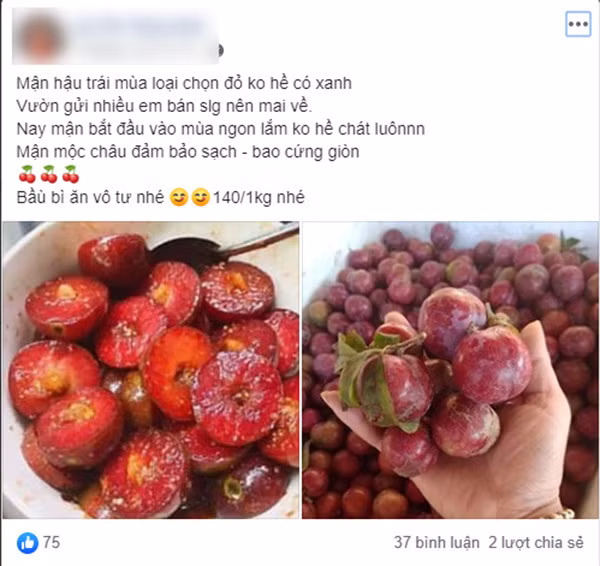 Loan gia man Moc Chau trai mua, tieu thuong nhet tui vai trieu/ngay-Hinh-2