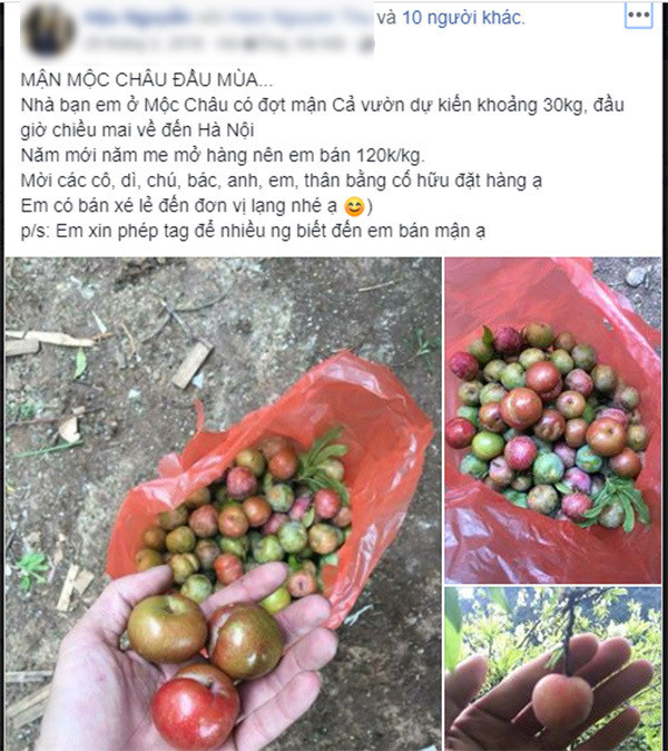 Loan gia man Moc Chau trai mua, tieu thuong nhet tui vai trieu/ngay-Hinh-4