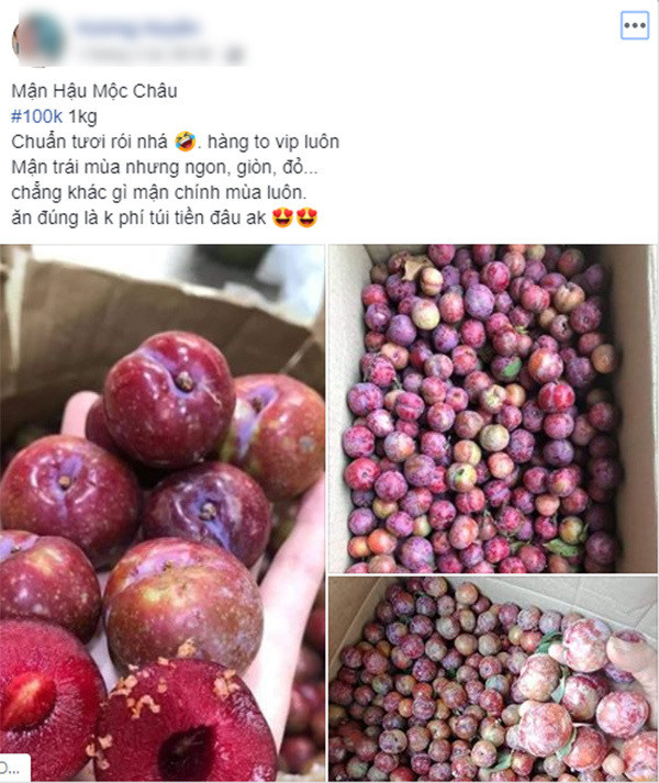 Loan gia man Moc Chau trai mua, tieu thuong nhet tui vai trieu/ngay-Hinh-6