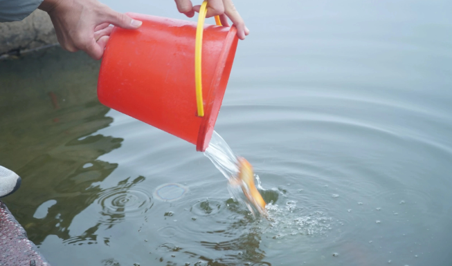 Tiễn ông Công, ông Táo về trời, cầu mong cho một năm mới người người an yên. (Ảnh Sức Khỏe và Đời Sống) 