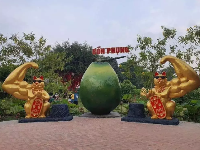 Mèo lực sĩ cực ngầu của tỉnh Bến Tre.