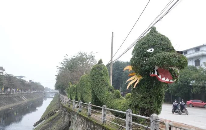 Nhiều ngày qua, trên mạng xã hội có nhiều ý kiến bàn tán xôn xao về cặp rồng được tạo nên từ cây xanh trên đường Nguyễn Sỹ Sách (TP Vinh, tỉnh Nghệ An) giao nhau với đại lộ Lênin. Nhiều ý kiến cho rằng, phần đầu rồng chưa đẹp, thiết kế &#34;lúc giống rắn, lúc giống lươn&#34;. Ông Phan Xuân Bảo - Giám đốc Công ty cổ phần công viên cây xanh TP Vinh cho biết cặp rồng bằng cây này được tạo hình từ nhiều năm trước chứ không phải đến năm 2024 mới có, sở dĩ gần đây được chú ý vì thời điểm gần tết Giáp Thìn.