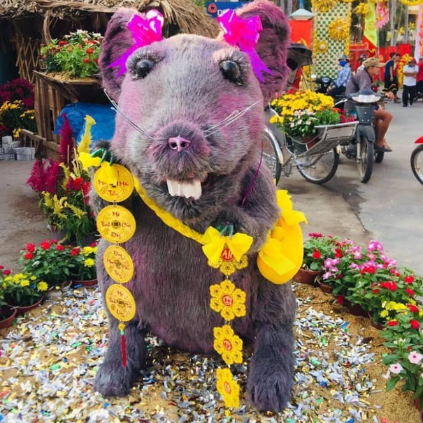 Một linh vật chân thật nhất từ trong danh sách này. Để cho rực rỡ sắc xuân thì người ta đã trang trí thêm cho chú ta một bộ lông màu lửa.