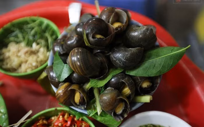 Người ta thường nói ăn ốc lạnh bụng vì ốc có tính hàn rất cao thế nên không phù hợp cho những người có thể trạng yếu hoặc thường xuyên gặp các vấn đề về tiêu hóa. Ảnh: Afamily. 