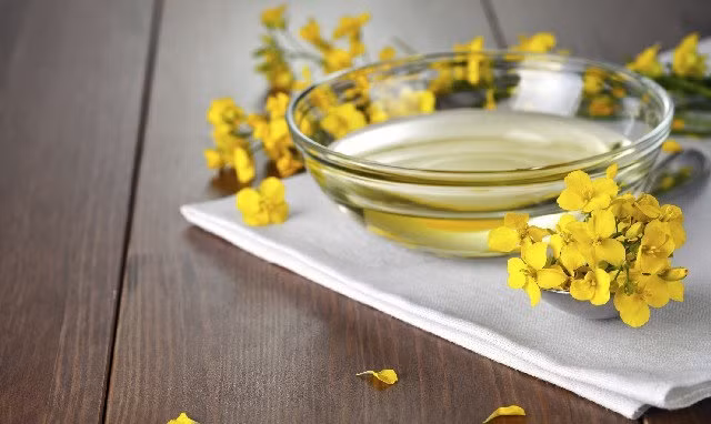 Theo đó chế độ ăn ngừa mất trí nhớ của họ có rất nhiều cá chứa chất béo tự nhiên có bổ sung thêm các loại rau củ quả, sử dụng nhiều dầu hạt cải.