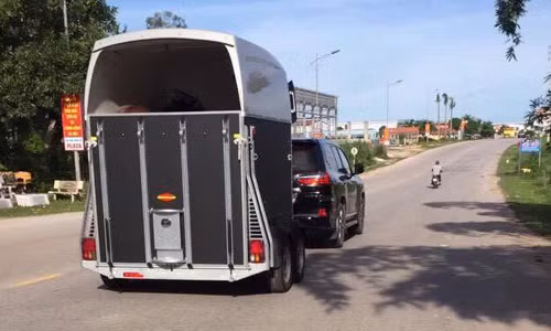 Phat sot voi thu choi ngong giua pho cua dai gia Quang Ninh