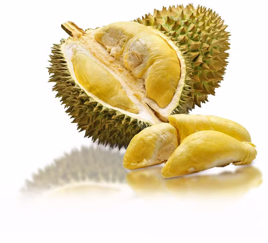 Quả sầu riêng còn có nhiều dinh dưỡng tốt cho phụ nữ sau sinh, giúp làm tăng độ dày của niêm mạc tử cung, tăng khả năng sinh sản và giảm nguy cơ một số bệnh phụ khoa dễ mắc. Ảnh: Southfruit. 