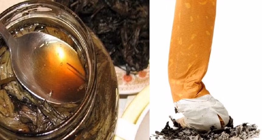 Tự chế trà cai thuốc lá cho chồng: Đây là chiêu mà nhiều bà mẹ bỉm sữa trao đổi cho nhau với mong muốn cai thuốc cho chồng một cách hiệu quả nhất. Ảnh: Songkhoe.