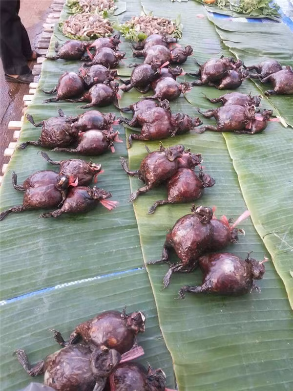 Món ăn có 1-0-2 này cũng nằm trong danh sách những món ăn kinh dị nhất thế giới khiến cư dân mạng rùng mình nhưng sự thực không ai có thể lý giải được đó là món gì?