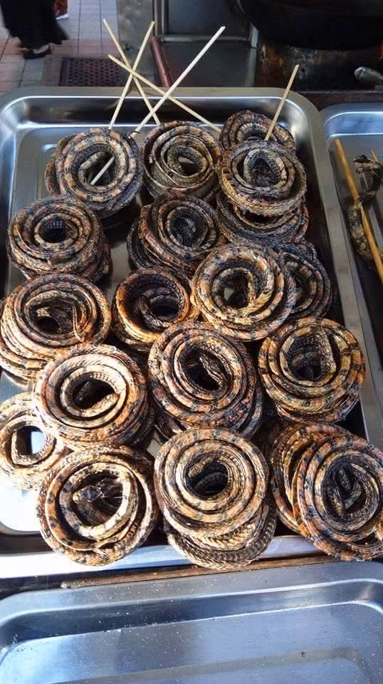 Món rắn cuộn xiên que nướng thực sự là thử thách cho những người mê ẩm thực.