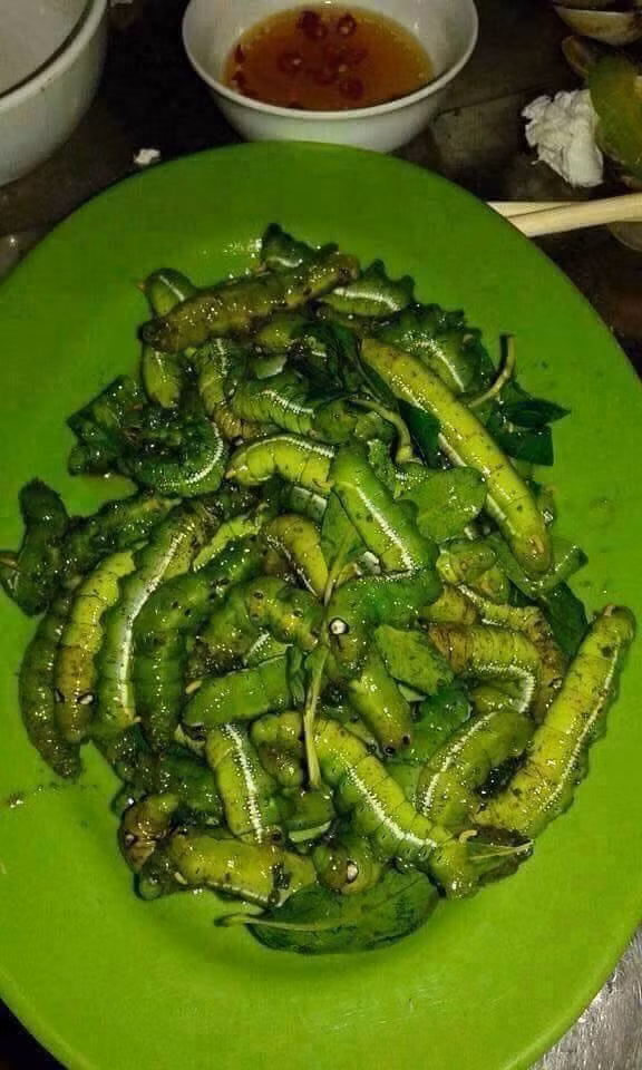 Món sâu chanh sống được chia sẻ trên mạng xã hội khiến nhiều người rùng mình. Thậm chí nhiều người còn không tưởng tượng được nếu có cơ hội thưởng thức thì làm sao họ có thể nuốt trôi món ăn này.