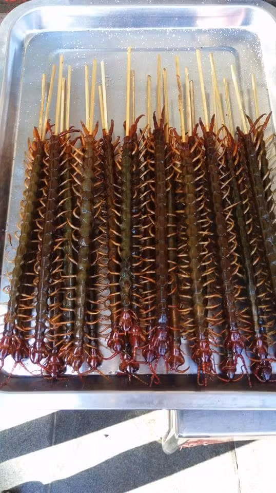 Rết nguyên con nướng cũng không phải món ăn dễ gì nuốt nổi.