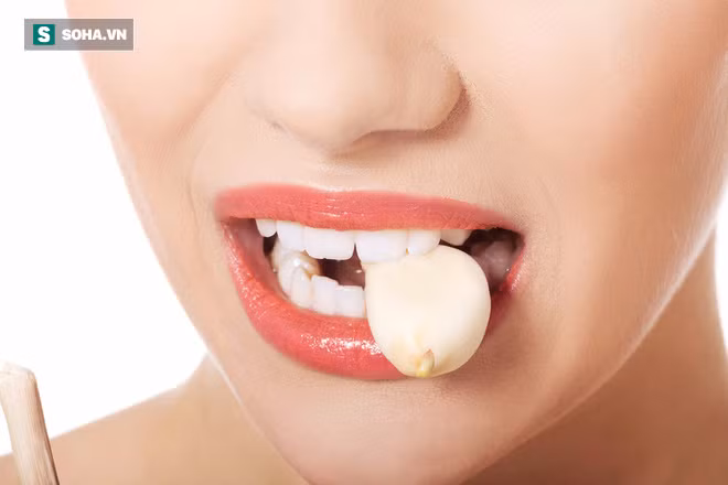 Không ăn quá nhiều, 1-2 tép tỏi là vừa đủ. Nếu ăn quá nhiều thì có thể gây ra những tác dụng ngược không mong muốn, không ăn tỏi mọc mầm… Ảnh: Soha.