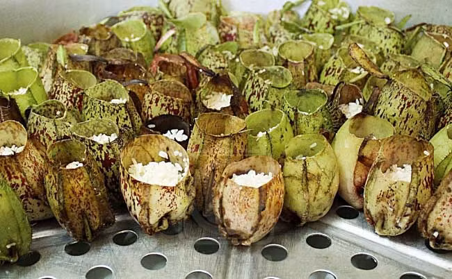 Những chiếc cây nắp ấm được trưng dụng để chế biến món ăn.