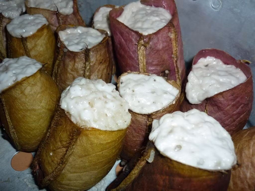 Món ăn này được người Malaysia và du khách rất yêu thích vì hương vị thơm ngon khác biệt.