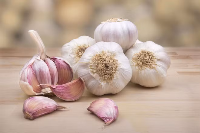 Cách sử dụng tỏi chữa sùi mào gà: Mọi người có thể lấy tinh chất tỏi pha loãng bôi lên vùng thương tổn hoặc sử dụng tỏi thường xuyên trong bữa ăn của mình để nâng cao sức đề kháng cho cơ thể. Ảnh: Songkhoe..