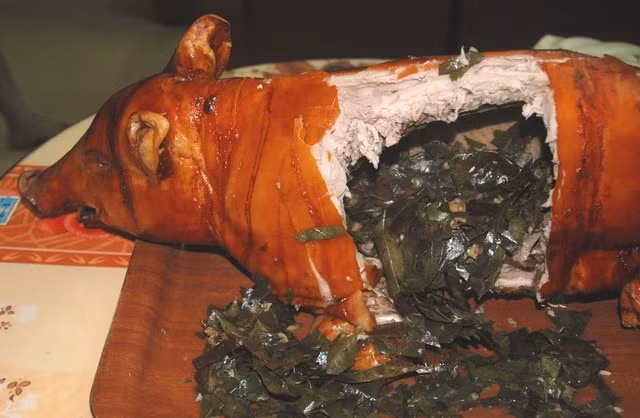 Lợn quay nguyên con thường được quay bằng than trong khoảng 1-1,5 tiếng để thịt lợn chín đều, phần da giòn ngon ko bị nứt. Ảnh: Việt Báo.