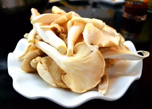  Nấm bào ngư vốn được biết đến là loại nấm giàu dinh dưỡng, tốt cho sức khỏe và có giá trị cao, có thể vừa làm thuốc vừa làm thực phẩm. Ảnh: Thucphamsach.