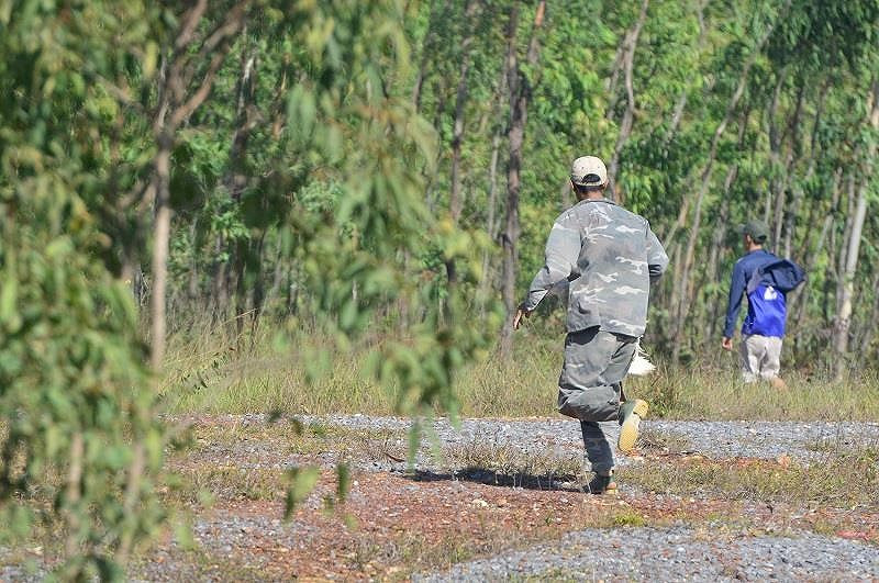 Tranh thủ "hôi vịt".