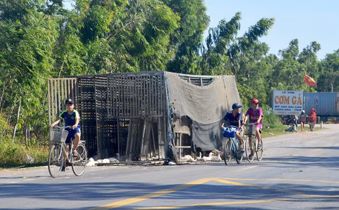Anh: Nhung vu “hoi cua” dang xau ho cua nguoi Viet