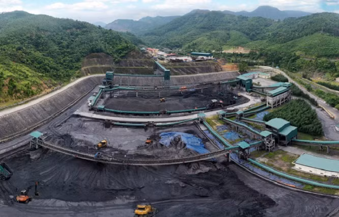 Vi pham thue bi phat hon 1,8 ty, doanh thu Than Vang Danh ra sao?