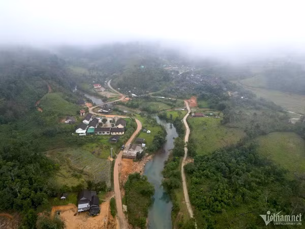 Rung che 'tien vua' tram tuoi duoc bao ve nghiem ngat o Binh Dinh