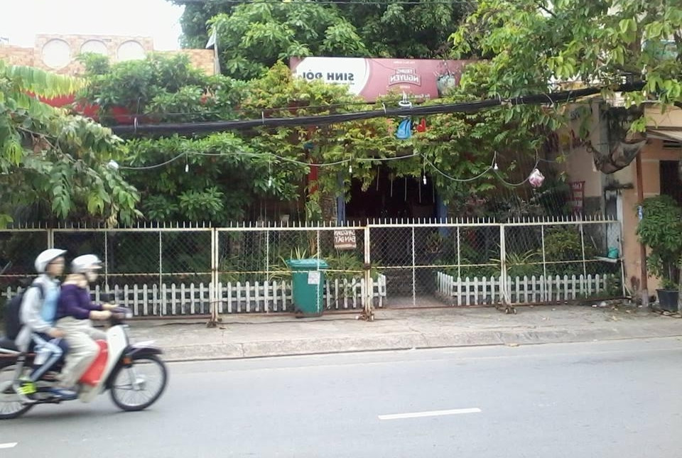 Việt Nam: Thành phố lớn khan hiếm không gian công viên cây xanh - Hình 2 Viet Nam: Thanh pho lon khan hiem khong gian cong vien cay xanh-Hinh-2