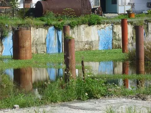 Tuy nhiên, cho đến nay đã 10 năm trôi qua nhưng chủ đầu tư cũng chỉ xây dựng phần cọc lởm chởm đã hoen gỉ cùng một số thiết bị, vật tư hư hỏng, chỉ còn giá trị... sắt vụn. Trên mặt bằng khu đất dự án tạo thành hồ nước với cỏ lác mọc um tùm gây ô nhiễm môi trường nghiêm trọng. Ảnh: Infonet.