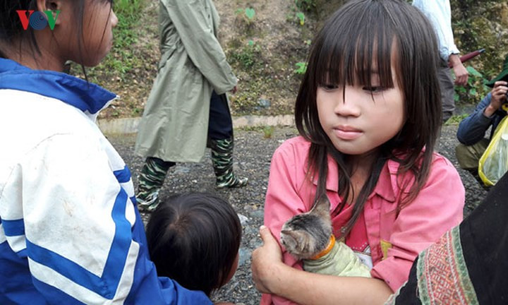 Một bé gái ôm chặt chú mèo, người bạn thân còn sót lại sau khi mất nhà.