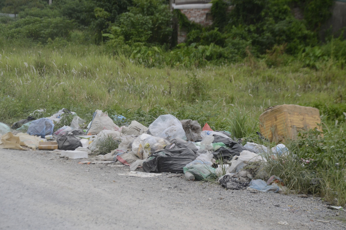 Nhiều rác thải sinh hoạt chất đống.
