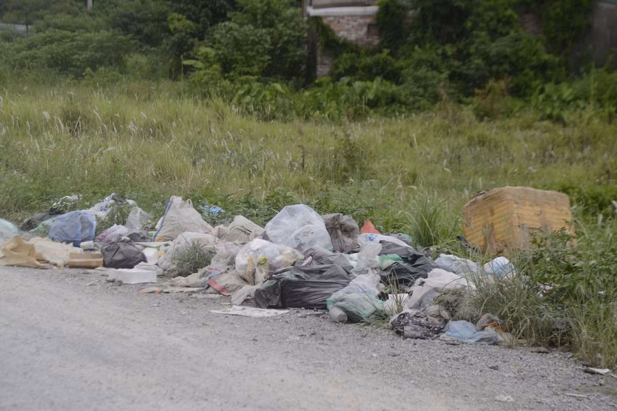 Nhiều rác thải sinh hoạt chất đống.