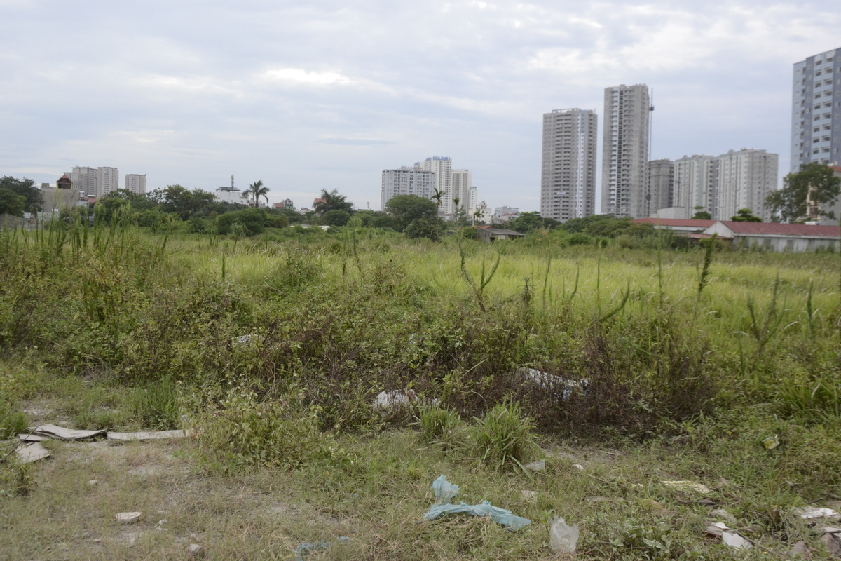 Quanh khu vực người dân sinh sống cỏ mọc um tùm, khắp nơi bốc lên mùi xú uế của rác thải và cống rãnh,…