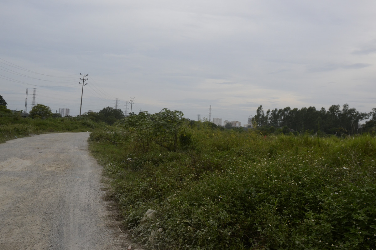 Ghi nhận của phóng viên ngày 23/6, phần lớn diện tích dự án Khu đô thị mới Thịnh Liệt bị bỏ hoang.