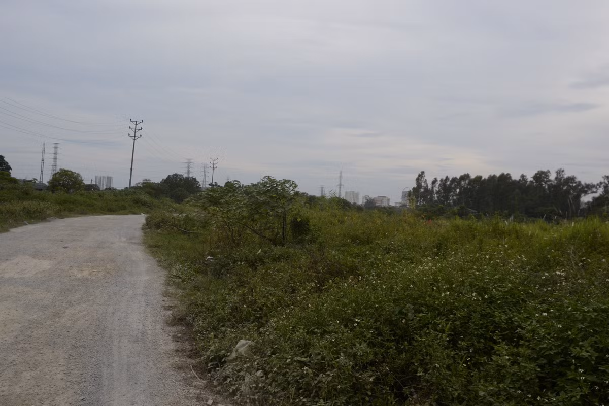 Ghi nhận của phóng viên ngày 23/6, phần lớn diện tích dự án Khu đô thị mới Thịnh Liệt bị bỏ hoang.