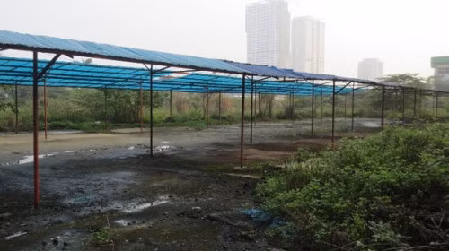 Tuy nhiên, theo báo Xây Dựng, cho đến thời điểm hiện tại ngoài khu nhà điều hành 1 tầng và hệ thống hàng rào được xây dựng, đưa vào sử dụng từ lâu thì toàn bộ dự án vẫn dự án vẫn án binh bất động, “đắp chiếu” và để cỏ hoang mọc um tùm. Ảnh: Giadinhvaphapluat.