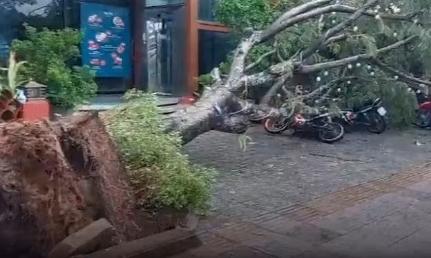 Bao so 4 do bo dat lien: Nhung thiet hai ban dau-Hinh-4