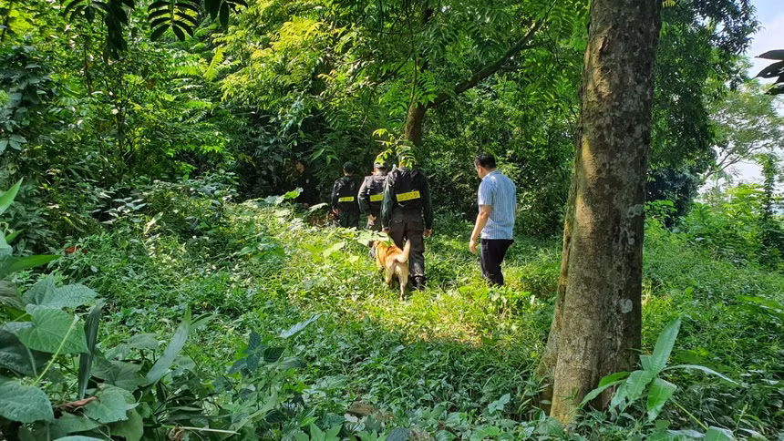  Cảnh sát huy động chó nghiệp vụ tìm kiếm Lương Hải Như. Thông tin mới nhất vụ cô gái Lương Hải Như (23 tuổi, quê Chương Mỹ, Hà Nội) mất tích gần 2 tháng qua, mới đây, gia đình cô gái cho biết, cảnh sát đã dẫn chó nghiệp vụ đi tìm kiếm Hải Như vào ngày 15/9. Khu vực tìm kiếm tại huyện Quốc Oai và huyện Chương Mỹ. Chó nghiệp vụ được tăng cường tìm kiếm tại các địa điểm sông, hồ, ao làng, bãi tha ma...Tuy nhiên, quá trình tìm kiếm vẫn chưa ra thêm manh mối mới. 